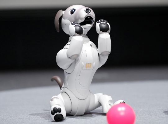 Lucunya robot anjing peliharaan buatan Sony