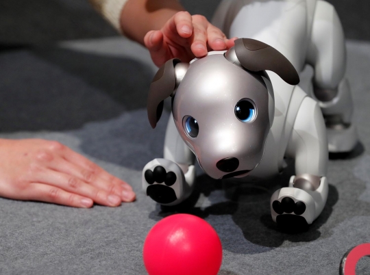 Lucunya robot anjing peliharaan buatan Sony