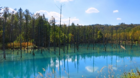 Keindahan Blue Pond Biei, kolam terindah di dunia yang senantiasa berubah warna