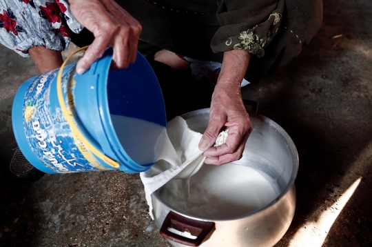 Melihat pembuatan yoghurt ala Palestina