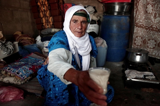Melihat pembuatan yoghurt ala Palestina