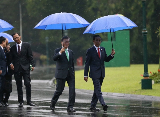 Jokowi payungi Presiden Korea Selatan saat tanam pohon di Istana Bogor