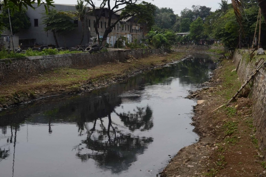 Kemeriahan warga Kampung Krapu rayakan karnaval Kali Ciliwung