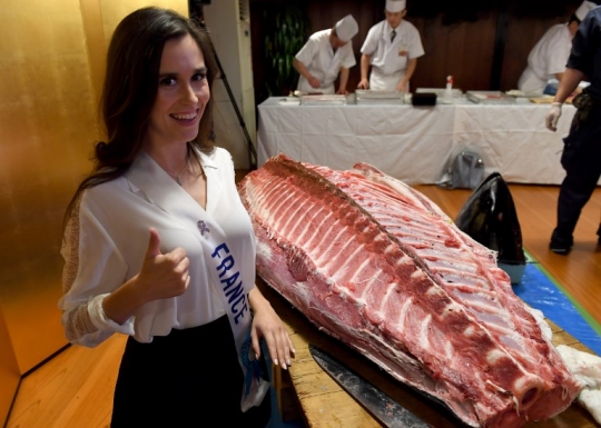 Kenikmatan para kontestan Miss Internasional santap hidangan sushi