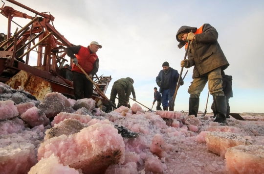 Mengunjungi danau penghasil garam merah muda di tepi Laut Hitam
