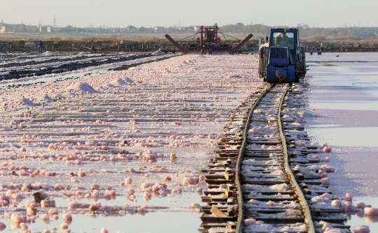 Mengunjungi danau penghasil garam merah muda di tepi Laut Hitam