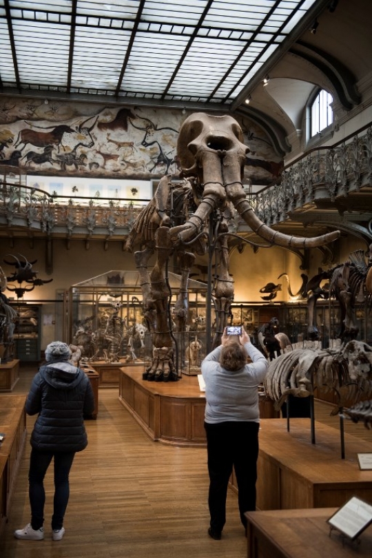 Mengunjungi museum tulang belulang purba di Prancis