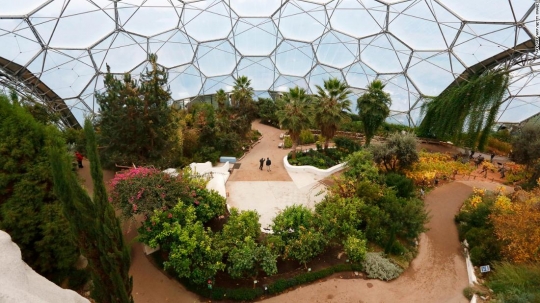 Eden Project, hutan indoor terbesar di dunia dengan 3.000 jenis flora