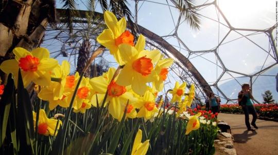 Eden Project, hutan indoor terbesar di dunia dengan 3.000 jenis flora