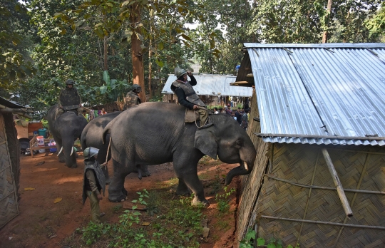 Begini cara polisi India gusur bangunan dengan bantuan gajah