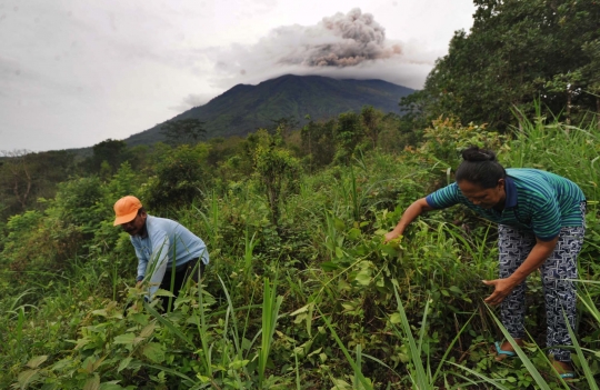 Sebagian warga masih nekat beraktivitas di zona merah Gunung Agung