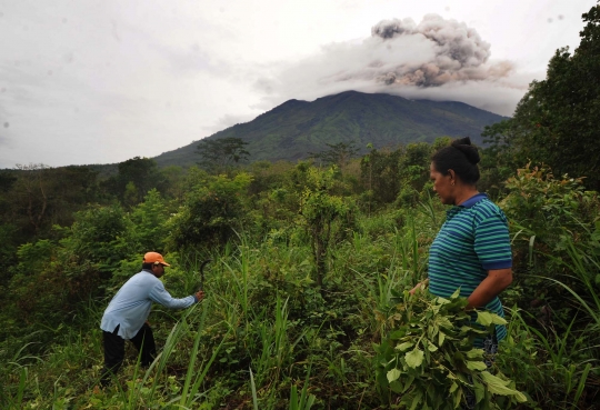 Sebagian warga masih nekat beraktivitas di zona merah Gunung Agung