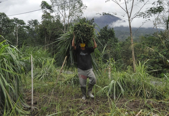 2 Km dari Puncak Gunung Agung, dua dusun ini sudah sepi aktivitas