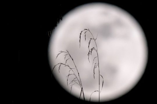 Penampakan supermoon paling terang yang menakjubkan