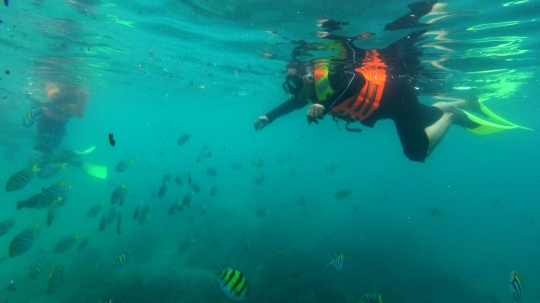 Menyelami indahnya surga bawah laut Pulau Rubiah