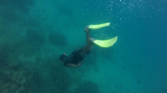 Menyelami indahnya surga bawah laut Pulau Rubiah