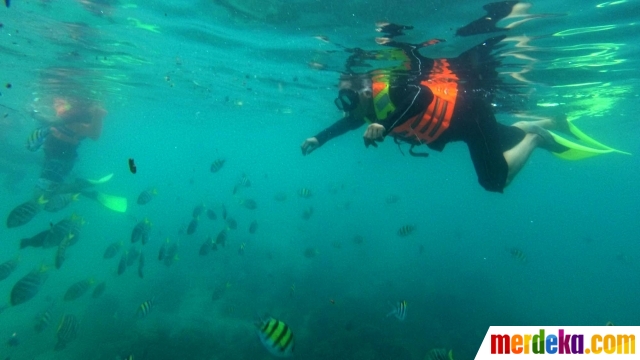 Foto Menyelami Indahnya Surga Bawah Laut Pulau Rubiah