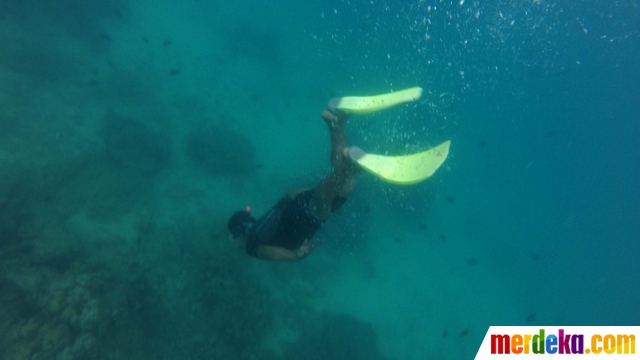 Foto Menyelami Indahnya Surga Bawah Laut Pulau Rubiah