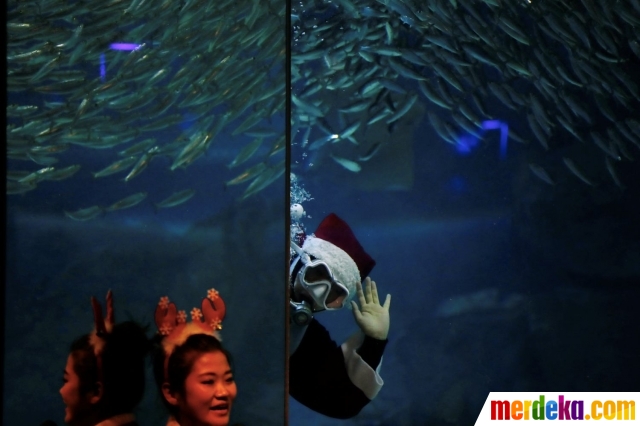 Foto : Aksi Santa Claus kagetkan pengunjung aquarium 