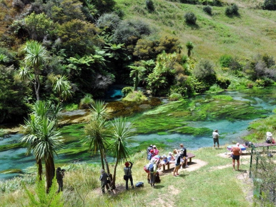 Mengagumi keindahan taman di dasar sungai di Te Waihou Walkway
