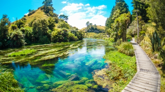 Mengagumi keindahan taman di dasar sungai di Te Waihou Walkway