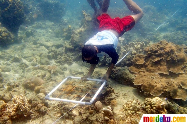 Foto : Melihat serunya aktivitas Sekolah Pantai di Tanah 