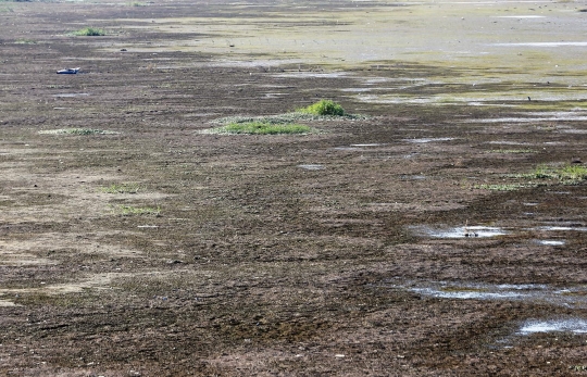 Inilah penampakan Sungai Nil ketika surut