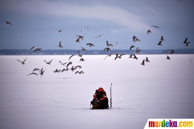 Foto Memancing Di Tengah Laut Bothnia Yang Membeku Merdeka Com