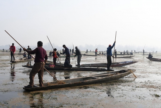 Cara unik nelayan India saat berburu ikan