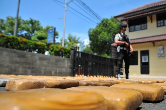 Ini penampakan 1,3 ton ganja asal Aceh