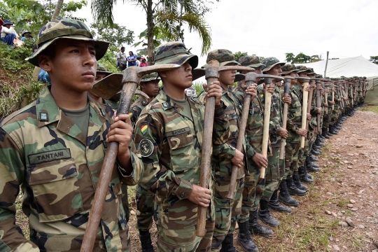 Aksi militer Bolivia musnahkan ladang koka