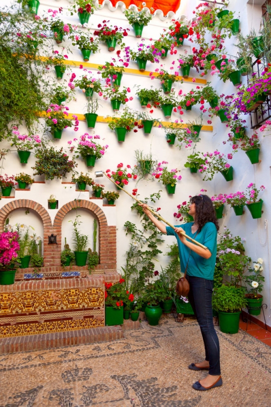 Kemeriahan festival bunga Los Patios de Cordoba, Spanyol