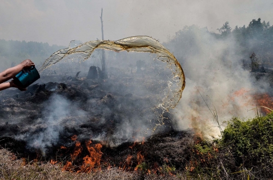 73 Titik kebakaran hutan terdeteksi di Sumatera