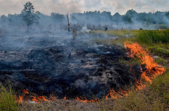 73 Titik kebakaran hutan terdeteksi di Sumatera