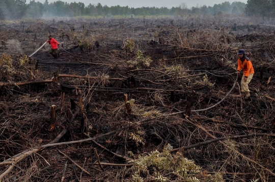73 Titik kebakaran hutan terdeteksi di Sumatera