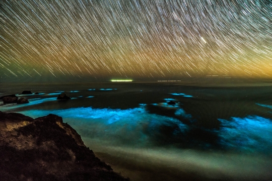 Keindahan Fitoplankton di pantai California