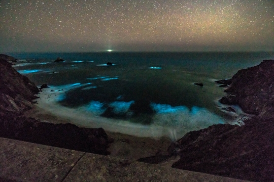 Keindahan Fitoplankton di pantai California