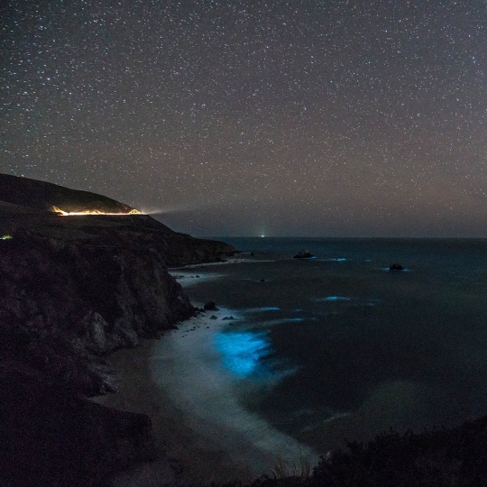 Keindahan Fitoplankton di pantai California