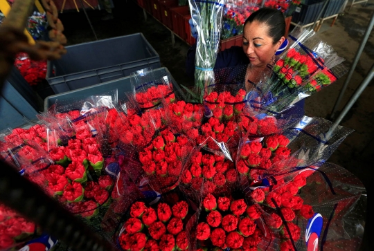 Menengok bunga untuk valentine di Kolombia yang siap ekspor ke mancanegara