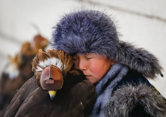 Melihat kompetisi elang berburu kelinci di Kazakhstan