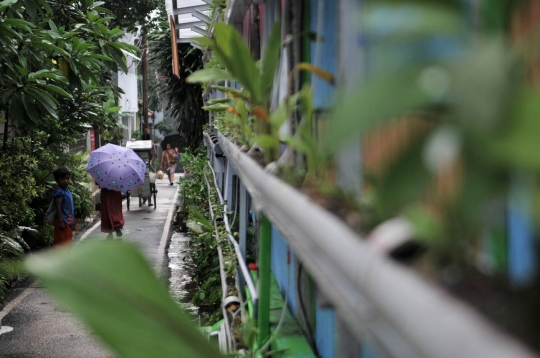 Mengunjungi asrinya Kampung Hidroponik Pengadegan