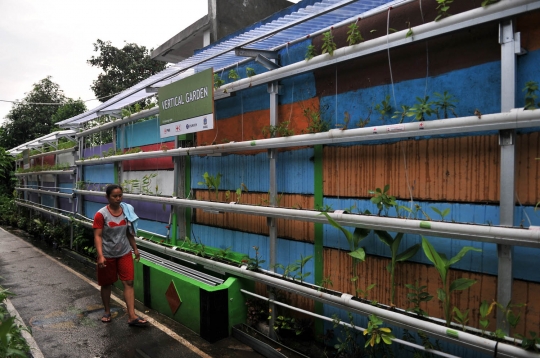 Mengunjungi asrinya Kampung Hidroponik Pengadegan