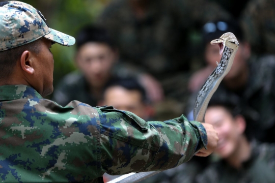 Cara militer Thailand latih Marinir AS dan Korsel bertahan hidup di hutan