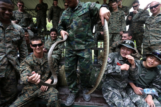 Cara militer Thailand latih Marinir AS dan Korsel bertahan hidup di hutan