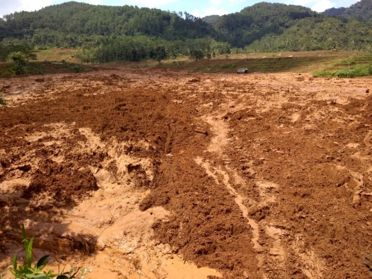 Longsor di Brebes yang tewaskan 5 orang jadi bidikan kamera warga