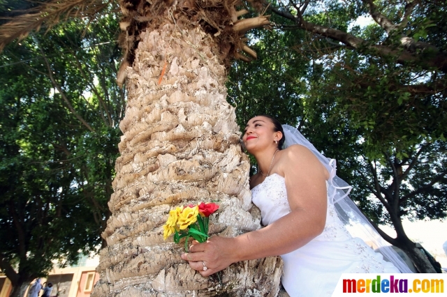  Foto Uniknya pernikahan massal wanita dan pohon di 