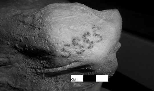 Penampakan tato tertua sejagat di tubuh mumi Mesir kuno