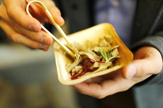 Mencicipi mie serangga yang kaya protein