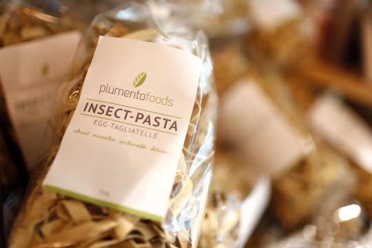 Mencicipi mie serangga yang kaya protein