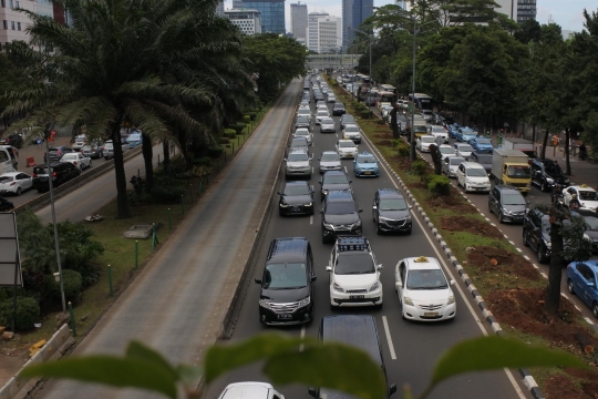 Ratusan pohon di Jalan Sudirman ditebang buat trotoar